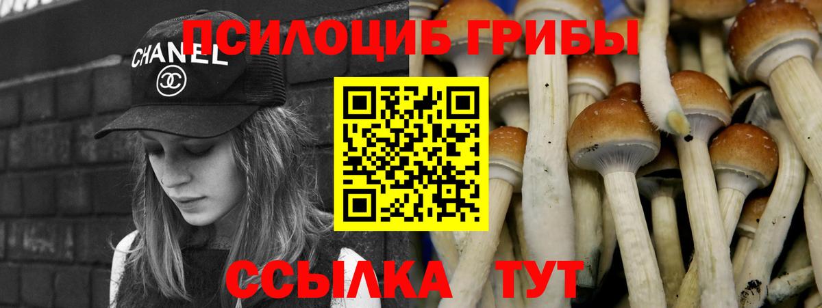закладки  Галлюциногенные грибы Psilocybe  Галлюциногенные грибы Cubensis  Вход с VPN  Лангепас 
