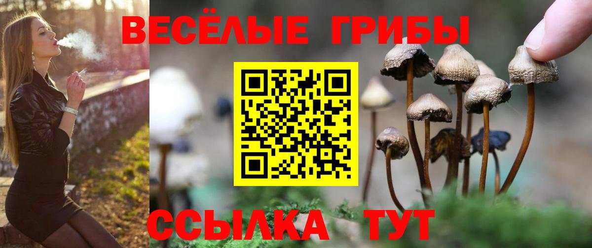 Меф Лангепас